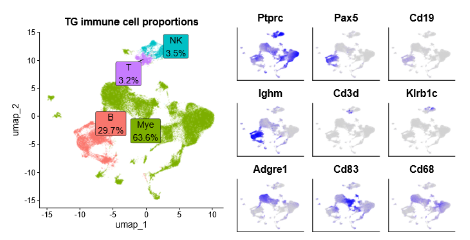 cell sorting output