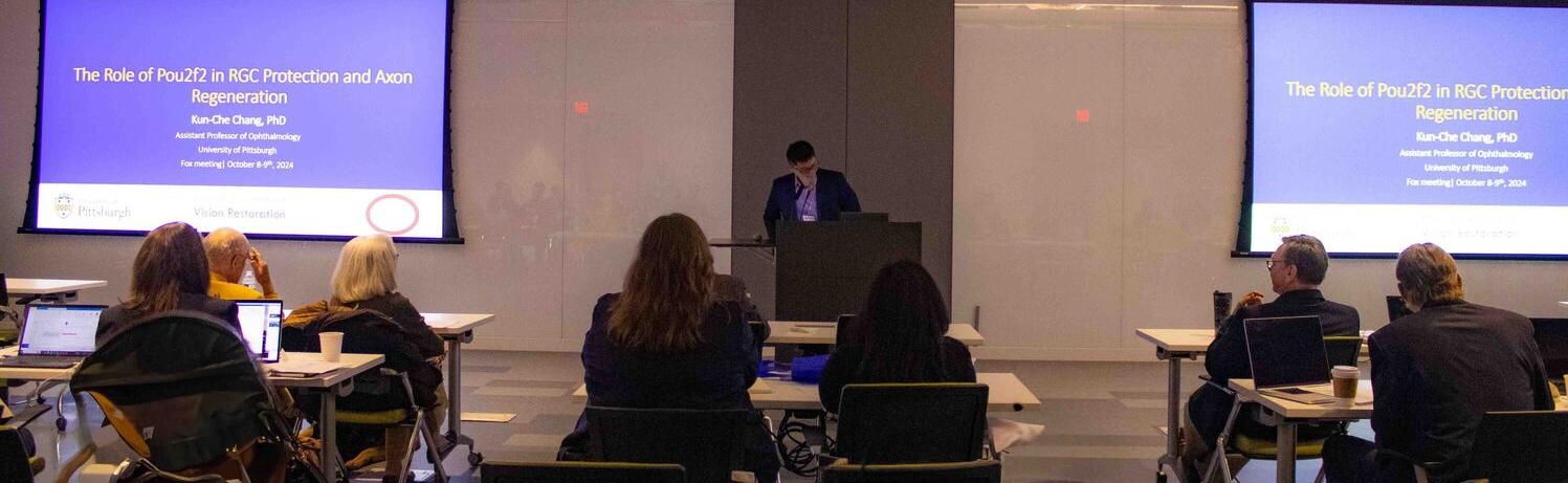 Seminar speaker presenting their research